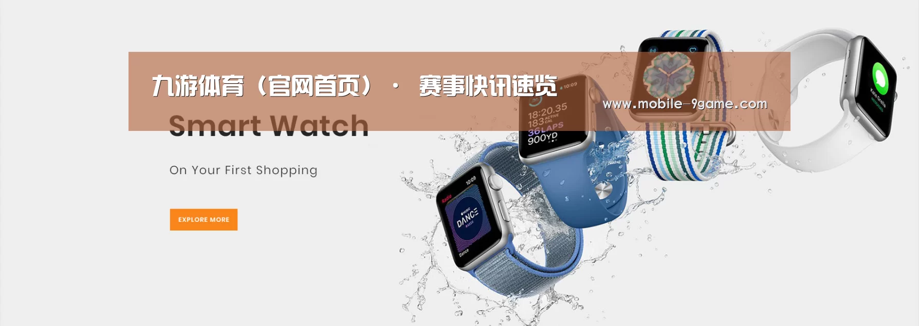 某某网络科技有限公司